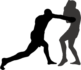 fl11